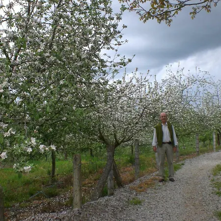 La Foina Ceceda de Abajo